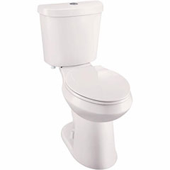 1.6/1.1 GPF DF RF TOILET