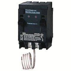 CIRCUIT BREAKER/SPD 2X20A 1P