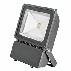 LED FLD FXT 5700K 100W COOL