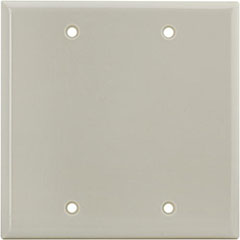 WALLPLATE BLNK 2G IVY