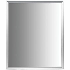 30X36 ALM FRAME MIR BRSH SLV