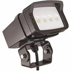 LED FLOODLIGHT 5000K BRONZE