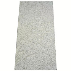 2' X 4' X 5/8" CEILING TILE (8 CS)