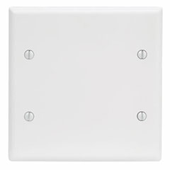 WALL PLATE 2-GANG BLANK WHIT