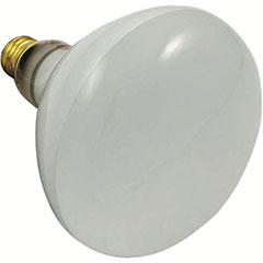 REFLECTOR POOL BULB - 500 WA