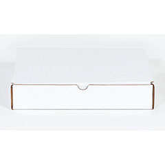 11 x 6 1/2 x 2 3/4" Protective Literature Mailer