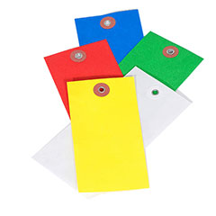 Tyvek® Colored Plain Tags