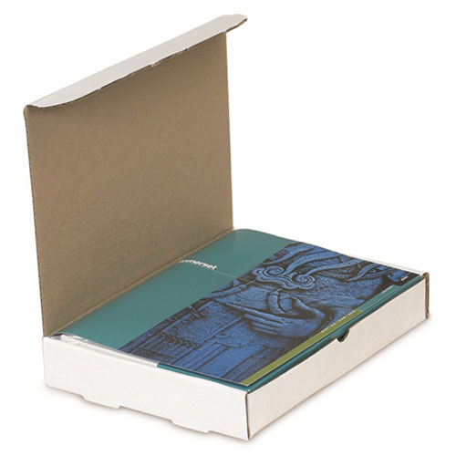 10 x 10 x 2" Protective Literature Mailer