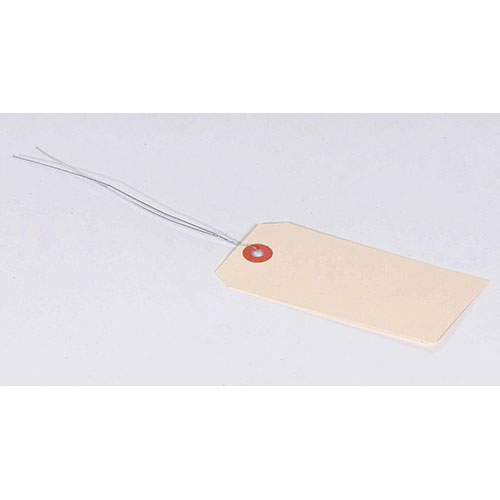 100 Pieces Plastic Shipping Tags with Wires Blank Labeling